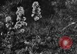 Standbild Mount McKinley Park Alaska USA, 1929, aus Sekunde 57 historischem Filmmaterial Videoclip 65675051283