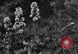 Standbild Mount McKinley Park Alaska USA, 1929, aus Sekunde 60 historischem Filmmaterial Videoclip 65675051283