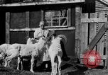 Standbild Mount McKinley Alaska United States USA, 1925, aus Sekunde 26 historischem Filmmaterial Videoclip 65675051284