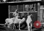 Standbild Mount McKinley Alaska United States USA, 1925, aus Sekunde 28 historischem Filmmaterial Videoclip 65675051284