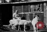 Standbild Mount McKinley Alaska United States USA, 1925, aus Sekunde 29 historischem Filmmaterial Videoclip 65675051284