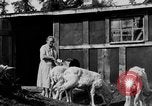 Standbild Mount McKinley Alaska United States USA, 1925, aus Sekunde 31 historischem Filmmaterial Videoclip 65675051284