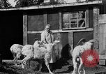Standbild Mount McKinley Alaska United States USA, 1925, aus Sekunde 33 historischem Filmmaterial Videoclip 65675051284