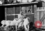 Standbild Mount McKinley Alaska United States USA, 1925, aus Sekunde 37 historischem Filmmaterial Videoclip 65675051284
