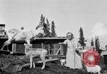 Standbild Mount McKinley Alaska United States USA, 1925, aus Sekunde 38 historischem Filmmaterial Videoclip 65675051284