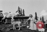 Standbild Mount McKinley Alaska United States USA, 1925, aus Sekunde 39 historischem Filmmaterial Videoclip 65675051284