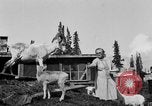 Standbild Mount McKinley Alaska United States USA, 1925, aus Sekunde 40 historischem Filmmaterial Videoclip 65675051284