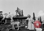 Standbild Mount McKinley Alaska United States USA, 1925, aus Sekunde 41 historischem Filmmaterial Videoclip 65675051284