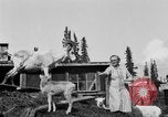 Standbild Mount McKinley Alaska United States USA, 1925, aus Sekunde 42 historischem Filmmaterial Videoclip 65675051284