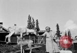 Standbild Mount McKinley Alaska United States USA, 1925, aus Sekunde 45 historischem Filmmaterial Videoclip 65675051284