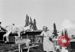 Standbild Mount McKinley Alaska United States USA, 1925, aus Sekunde 47 historischem Filmmaterial Videoclip 65675051284