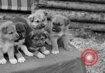 Standbild Mount McKinley Alaska United States USA, 1925, aus Sekunde 56 historischem Filmmaterial Videoclip 65675051284