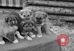 Standbild Mount McKinley Alaska United States USA, 1925, aus Sekunde 57 historischem Filmmaterial Videoclip 65675051284