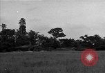 Standbild USA 127 Field Artillery Regiment Haubitzen feuern Saint Lo Frankreich, 1944, aus Sekunde 5 historischem Filmmaterial Videoclip 65675051311