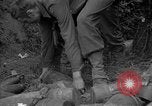 Standbild USA 127 Field Artillery Regiment Saint Lo Frankreich, 1944, aus Sekunde 56 historischem Filmmaterial Videoclip 65675051314