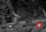 Standbild USA 127 Field Artillery Regiment Saint Lo Frankreich, 1944, aus Sekunde 61 historischem Filmmaterial Videoclip 65675051314
