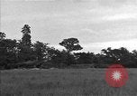 Standbild USA 127 Field Artillery Regiment Saint Lo Frankreich, 1944, aus Sekunde 22 historischem Filmmaterial Videoclip 65675051316