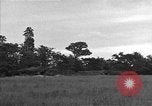 Standbild USA 127 Field Artillery Regiment Saint Lo Frankreich, 1944, aus Sekunde 23 historischem Filmmaterial Videoclip 65675051316