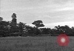 Standbild USA 127 Field Artillery Regiment Saint Lo Frankreich, 1944, aus Sekunde 24 historischem Filmmaterial Videoclip 65675051316