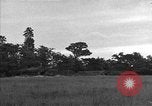 Standbild USA 127 Field Artillery Regiment Saint Lo Frankreich, 1944, aus Sekunde 29 historischem Filmmaterial Videoclip 65675051316