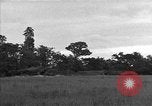 Standbild USA 127 Field Artillery Regiment Saint Lo Frankreich, 1944, aus Sekunde 33 historischem Filmmaterial Videoclip 65675051316