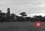 Standbild USA 127 Field Artillery Regiment Saint Lo Frankreich, 1944, aus Sekunde 34 historischem Filmmaterial Videoclip 65675051316