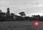 Standbild USA 127 Field Artillery Regiment Saint Lo Frankreich, 1944, aus Sekunde 35 historischem Filmmaterial Videoclip 65675051316