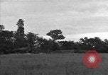 Standbild USA 127 Field Artillery Regiment Saint Lo Frankreich, 1944, aus Sekunde 40 historischem Filmmaterial Videoclip 65675051316