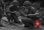 Image États-Unis Ingénieurs Emelie France, 1944, de la seconde 31 séquences d'archives historiques vidéo 65675051320