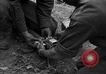 Image États-Unis Ingénieurs Emelie France, 1944, de la seconde 51 séquences d'archives historiques vidéo 65675051320