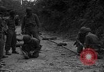 Image États-Unis Ingénieurs Emelie France, 1944, de la seconde 59 séquences d'archives historiques vidéo 65675051320
