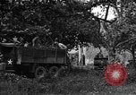 Image États-Unis 87e Bataillon de mortier chimique Carentan France, 1944, de la seconde 6 séquences d'archives historiques vidéo 65675051323