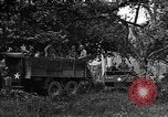 Image États-Unis 87e Bataillon de mortier chimique Carentan France, 1944, de la seconde 9 séquences d'archives historiques vidéo 65675051323