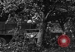 Image États-Unis 87e Bataillon de mortier chimique Carentan France, 1944, de la seconde 14 séquences d'archives historiques vidéo 65675051323