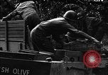 Image États-Unis 87e Bataillon de mortier chimique Carentan France, 1944, de la seconde 16 séquences d'archives historiques vidéo 65675051323
