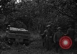 Image États-Unis 87e Bataillon de mortier chimique Carentan France, 1944, de la seconde 36 séquences d'archives historiques vidéo 65675051323