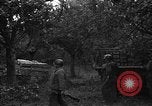Image États-Unis 87e Bataillon de mortier chimique Carentan France, 1944, de la seconde 39 séquences d'archives historiques vidéo 65675051323