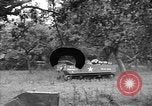 Image États-Unis 87e Bataillon de mortier chimique Carentan France, 1944, de la seconde 41 séquences d'archives historiques vidéo 65675051323