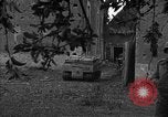 Image États-Unis 87e Bataillon de mortier chimique Carentan France, 1944, de la seconde 50 séquences d'archives historiques vidéo 65675051323
