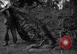 Standbild USA 87 Chemische Mörtel Bataillon Carentan Frankreich, 1944, aus Sekunde 49 historischem Filmmaterial Videoclip 65675051326