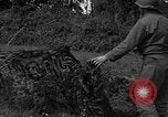 Standbild USA 87 Chemische Mörtel Bataillon Carentan Frankreich, 1944, aus Sekunde 57 historischem Filmmaterial Videoclip 65675051326