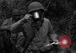 Standbild USA 35th Infantry Division Saint Lo Frankreich, 1944, aus Sekunde 19 historischem Filmmaterial Videoclip 65675051330