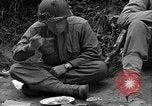 Standbild USA 35th Infantry Division Saint Lo Frankreich, 1944, aus Sekunde 34 historischem Filmmaterial Videoclip 65675051330