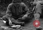 Standbild USA 35th Infantry Division Saint Lo Frankreich, 1944, aus Sekunde 41 historischem Filmmaterial Videoclip 65675051330