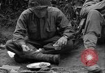 Standbild USA 35th Infantry Division Saint Lo Frankreich, 1944, aus Sekunde 44 historischem Filmmaterial Videoclip 65675051330