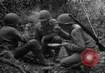 Standbild USA 35th Infantry Division Saint Lo Frankreich, 1944, aus Sekunde 54 historischem Filmmaterial Videoclip 65675051330
