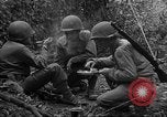 Standbild USA 35th Infantry Division Saint Lo Frankreich, 1944, aus Sekunde 56 historischem Filmmaterial Videoclip 65675051330
