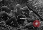 Standbild USA 35th Infantry Division Saint Lo Frankreich, 1944, aus Sekunde 57 historischem Filmmaterial Videoclip 65675051330