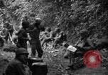 Standbild USA 35th Infantry Division Saint Lo Frankreich, 1944, aus Sekunde 31 historischem Filmmaterial Videoclip 65675051331