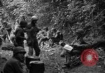 Standbild USA 35th Infantry Division Saint Lo Frankreich, 1944, aus Sekunde 32 historischem Filmmaterial Videoclip 65675051331